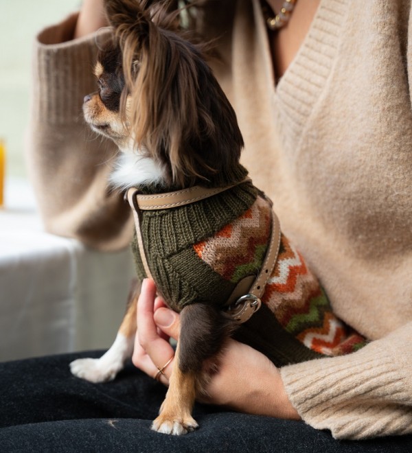 Forest Chevron Dog Jersey