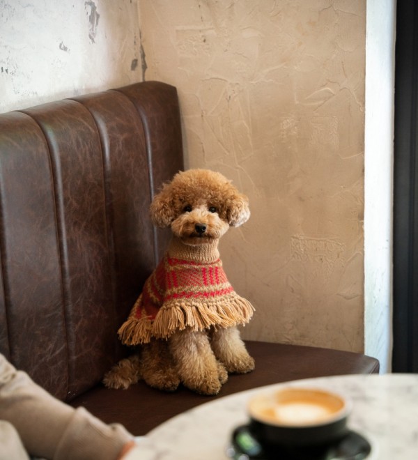 Poncho para perro Camelberry Plaid