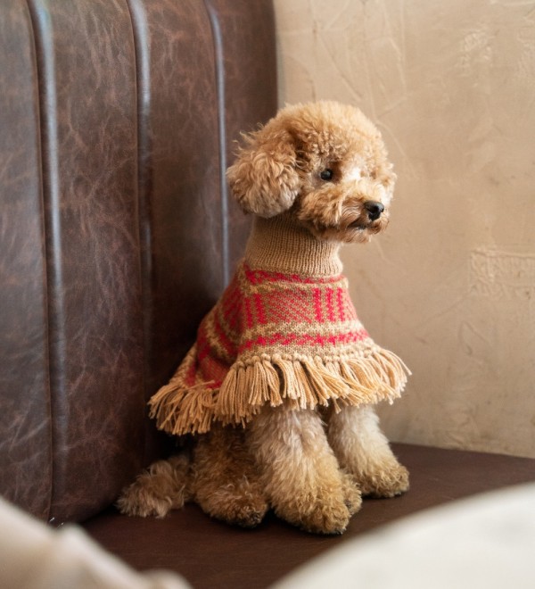 Camelberry Plaid Dog Poncho