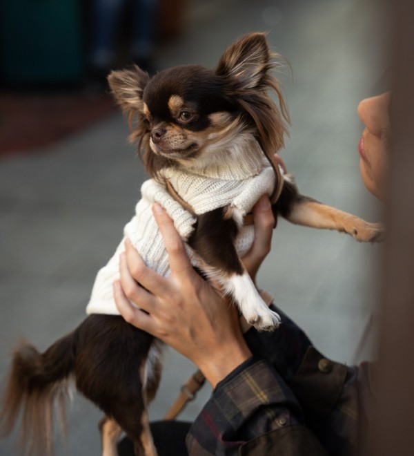 White Braided Dog Sweater