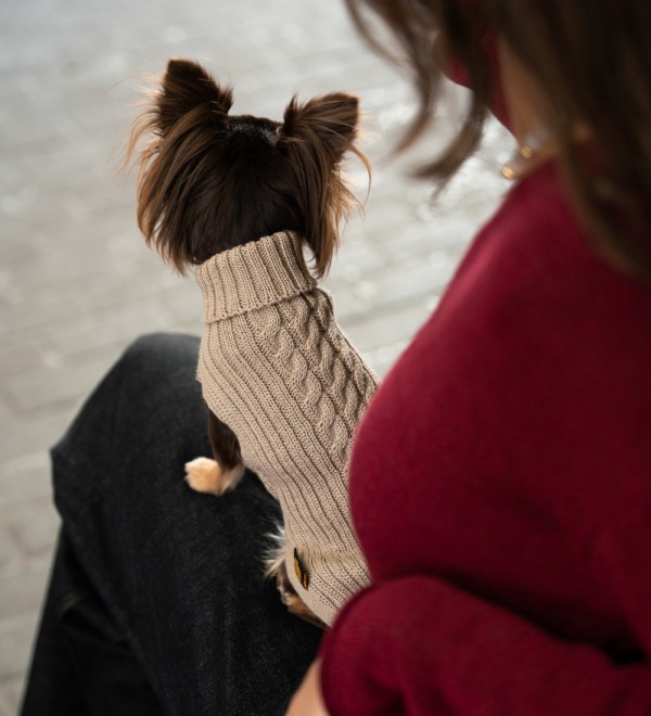 Jersey Para Perro Trenzado Beige