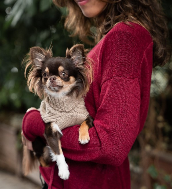 Jersey Para Perro Trenzado Beige