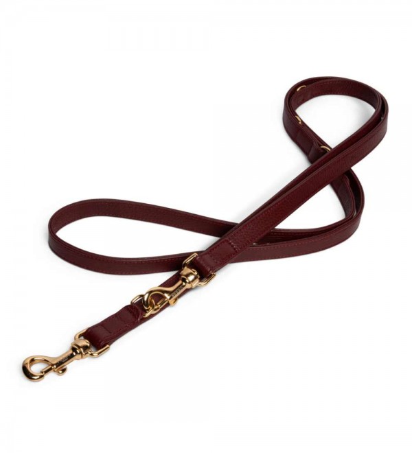 Leash Multiposition Burgundy
