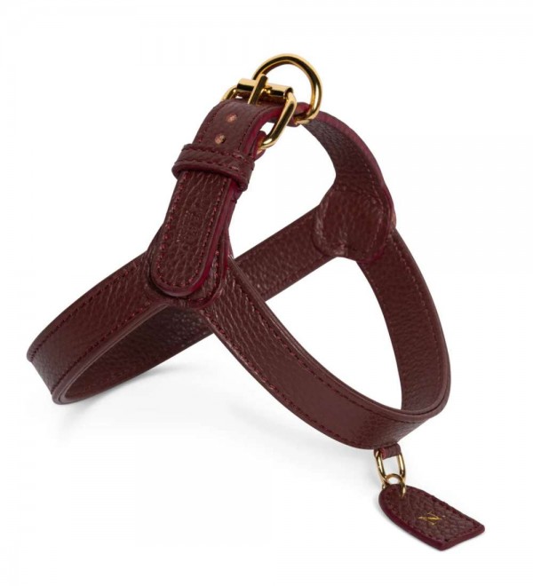 Burgundy Harness