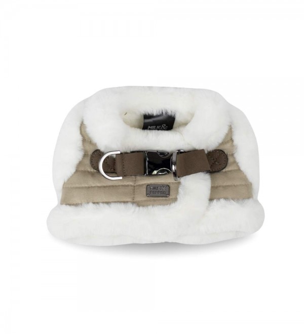 Kaspar dog body harness