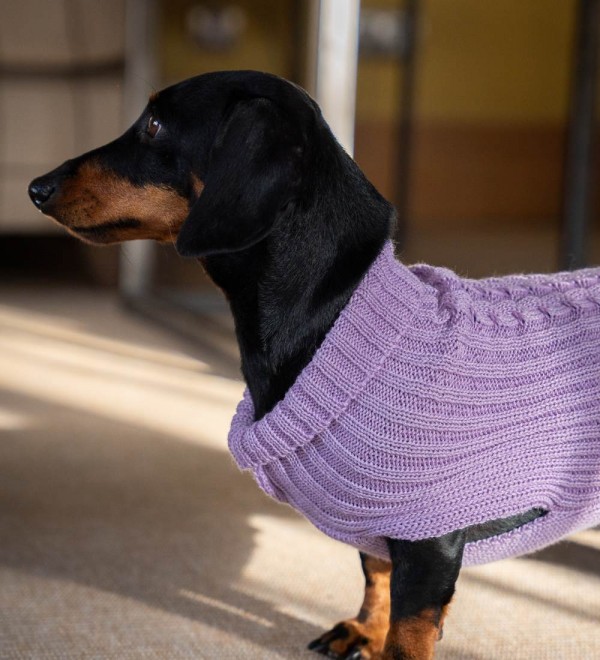 Braided Lavender Dog Sweater