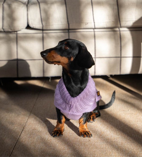 Braided Lavender Dog Sweater