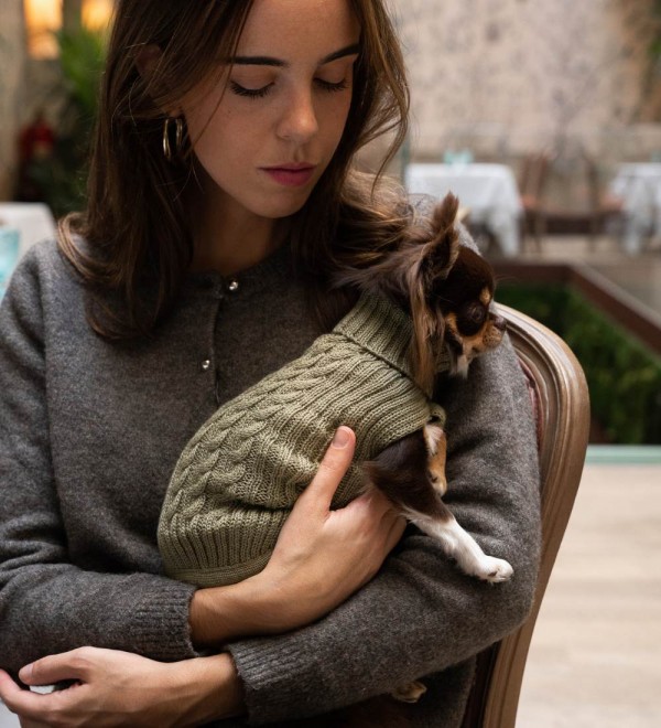 Braided Olive Green Dog Sweater