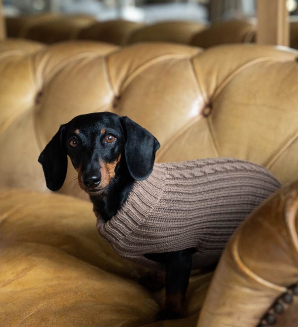 Jersey para Perro Trenzado Marrón Café