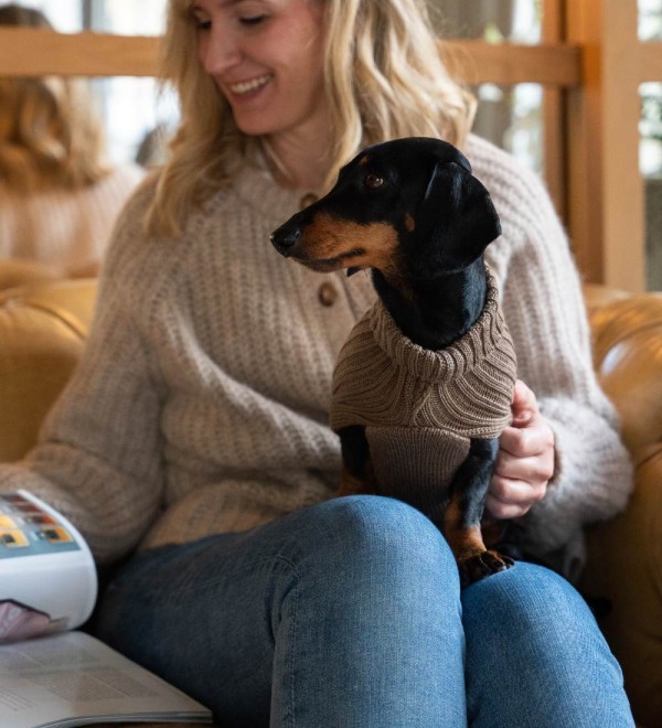 Braided Brown Coffee Dog Sweater