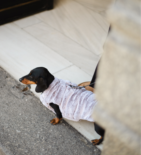 Abrigo para perro reversible Leopold