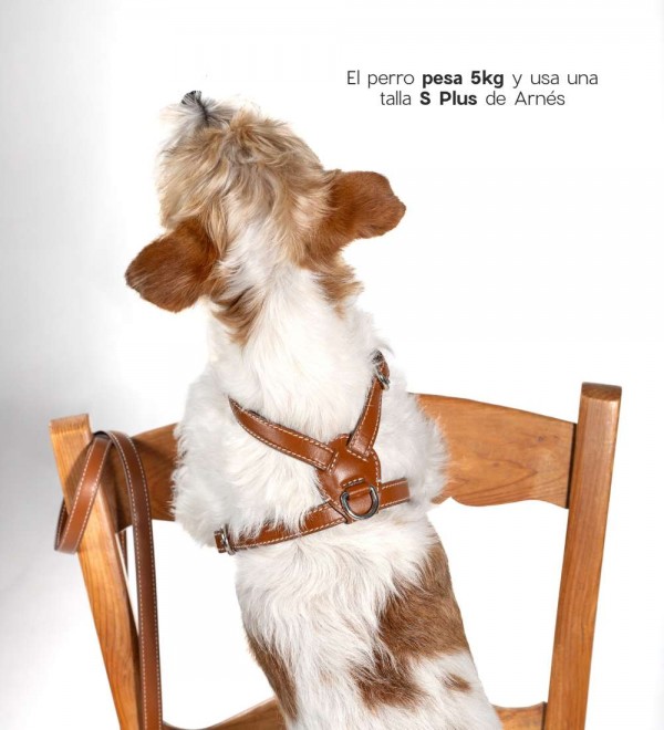 Leather Dog Harness - Nuvola Tabaco