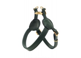 Dark Green Harness Movie
