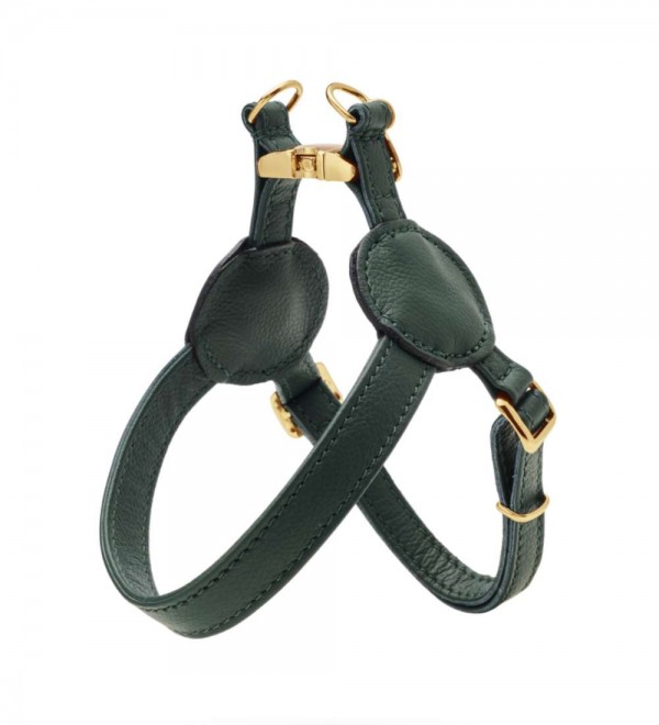 Dark Green Harness Movie