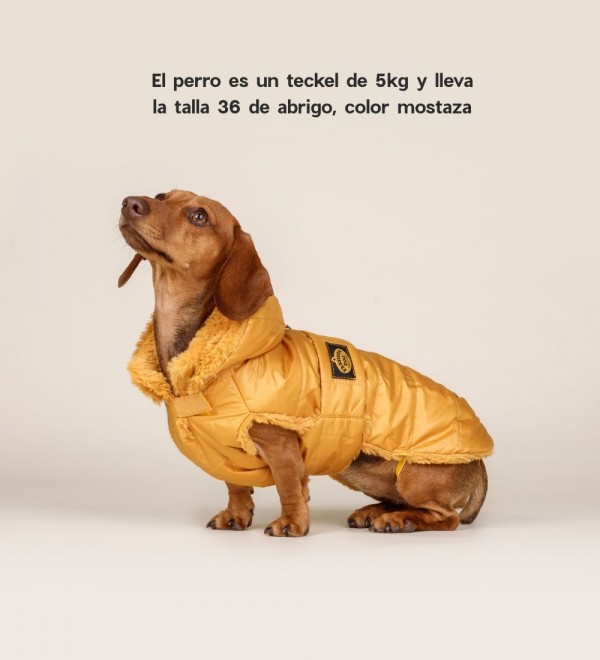 Dog Down Jacket Khaki