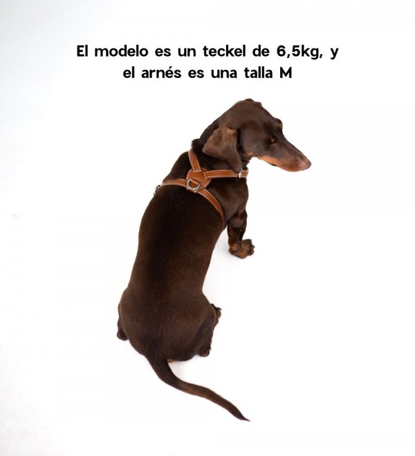 Leather Dog Harness - Nuvola Tabaco
