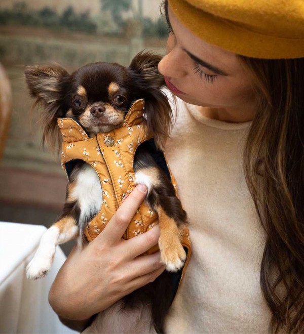 Reversible Lily Dog Coat