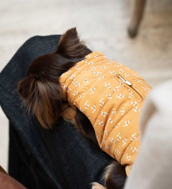 Reversible Lily Dog Coat