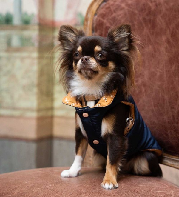 Reversible Lily Dog Coat