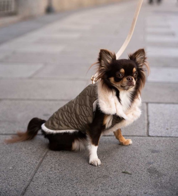 Reversible Candice dog coat