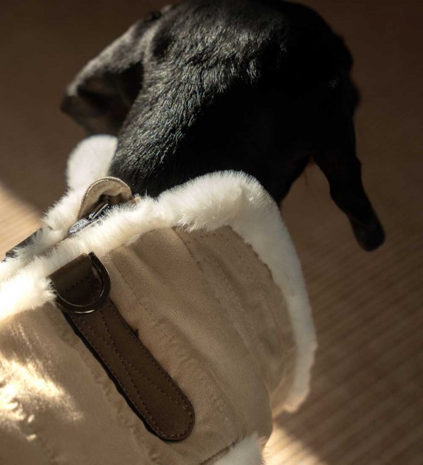 Ingvar dog harness coat