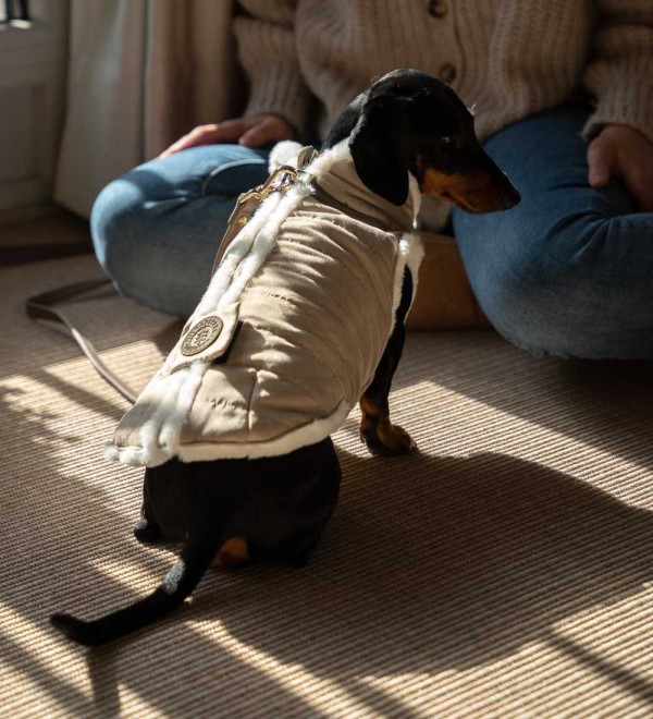 Ingvar dog harness coat