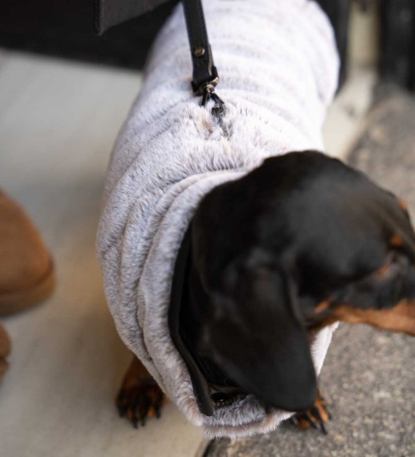 Leopold reversible dog coat