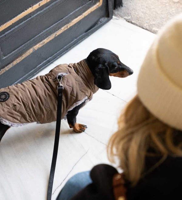 Abrigo para perro reversible Leopold