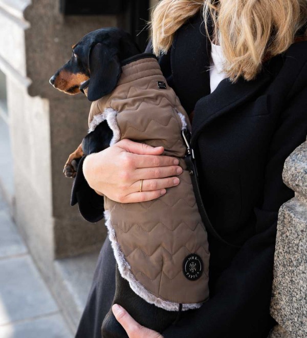 Leopold reversible dog coat