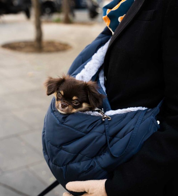 Dog harness - Jemma