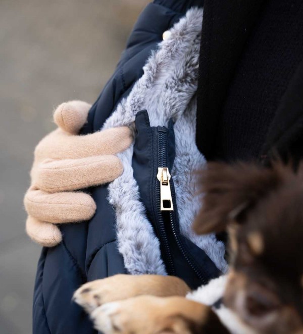 Dog harness - Jemma