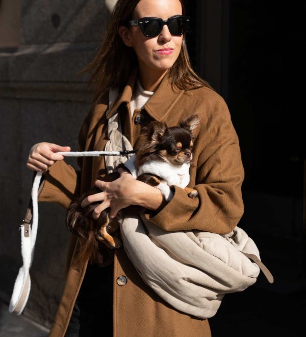 Correa para perro Valdemar