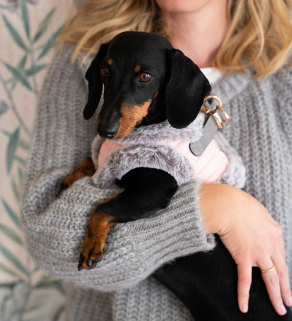 Arnés body para perro Hermine