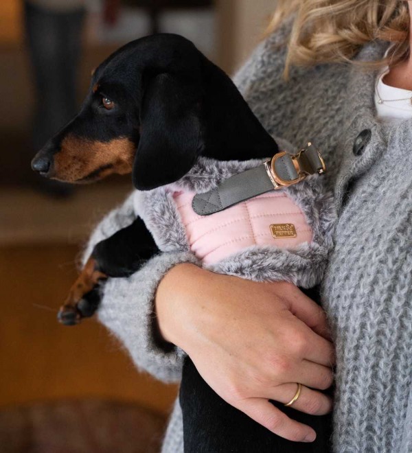 Hermine's body harness for dogs