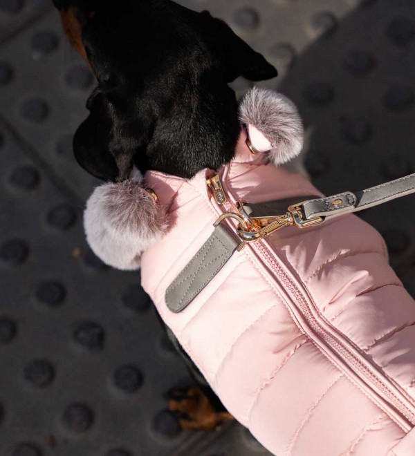 Correa para perro pequeño Amandine