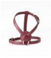 Leather Dog Harness - Nuvola Chianti