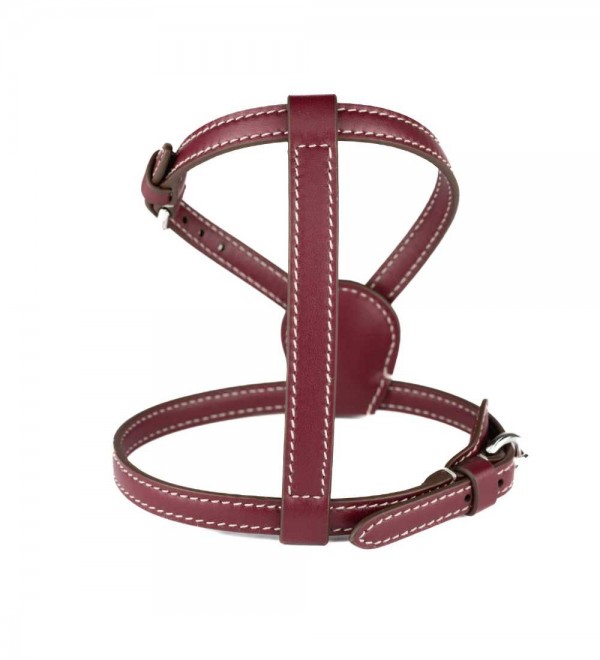 Leather Dog Harness - Nuvola Chianti