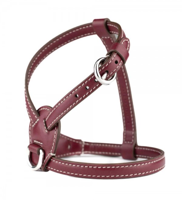 Leather Dog Harness - Nuvola Chianti