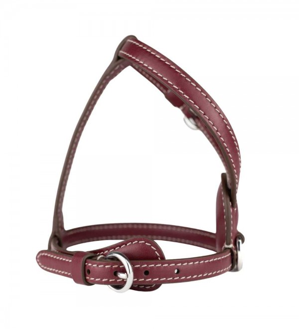 Leather Dog Harness - Nuvola Chianti