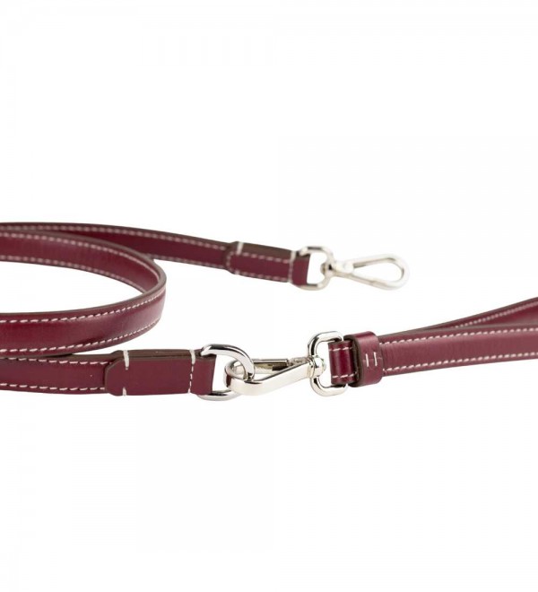Leash Leather Dog Leash - Ego Chianti