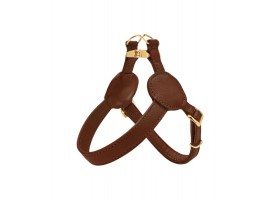 Brown Movie Harness