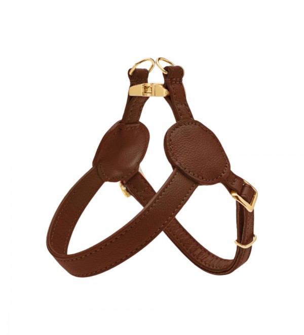 Brown Movie Harness