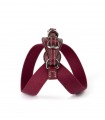 Aria Chianti Harness