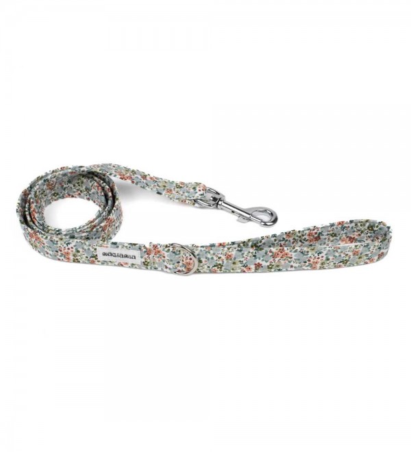 Leash Flores and Borreguito