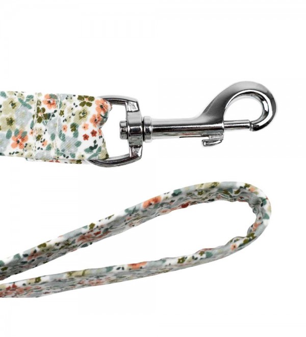 Leash Flores and Borreguito