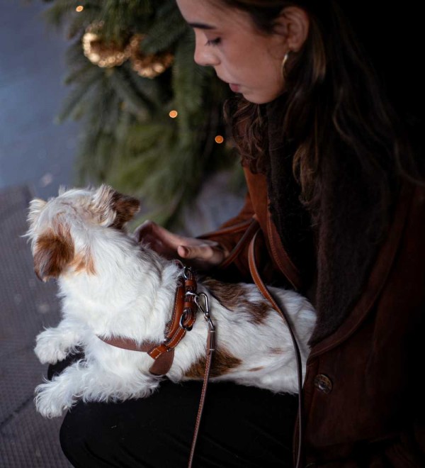 Aria Tabaco Harness