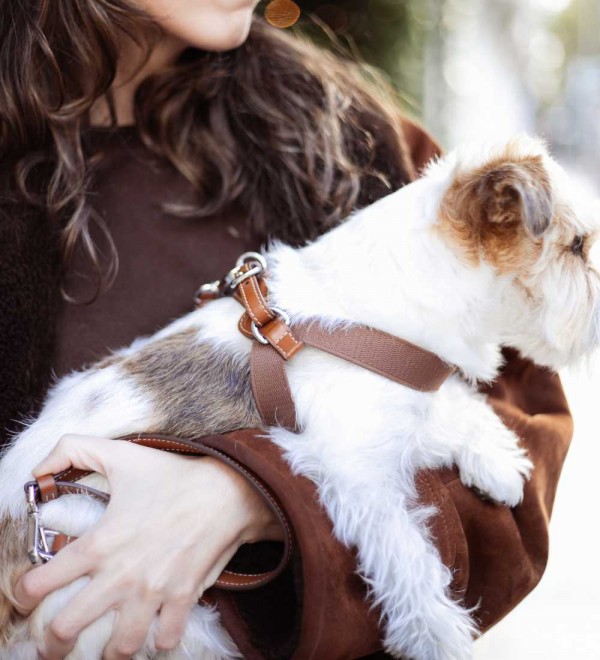 Aria Tabaco Harness