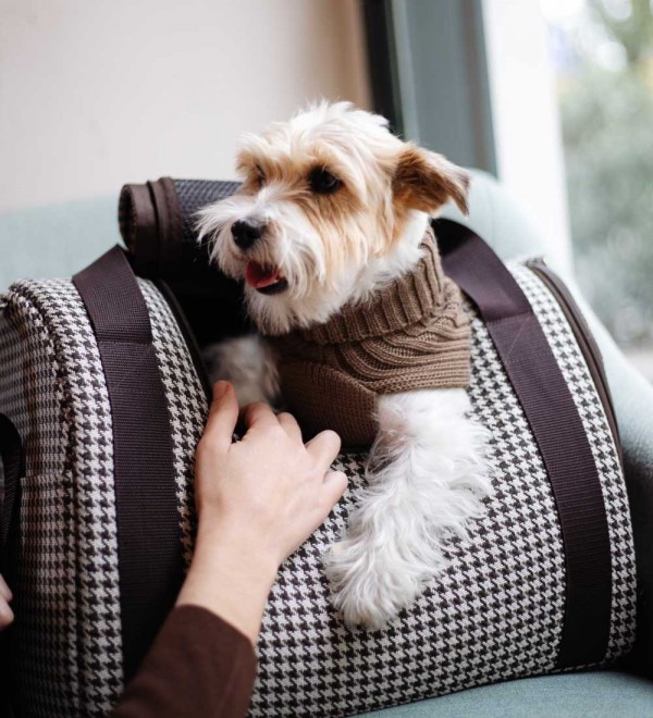 Small Dog Bag Gianna