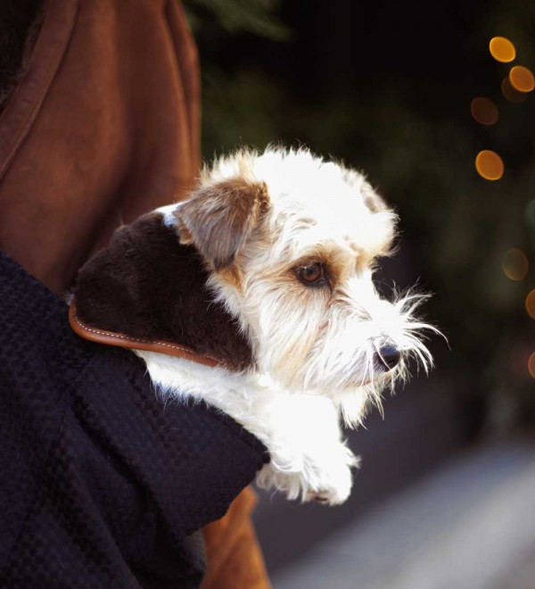 Bandana Diana Tobacco