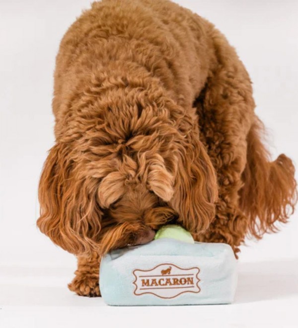 Macaron Dog Toy